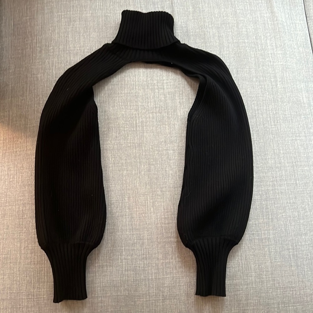 Zara cropped turtle neck sweater